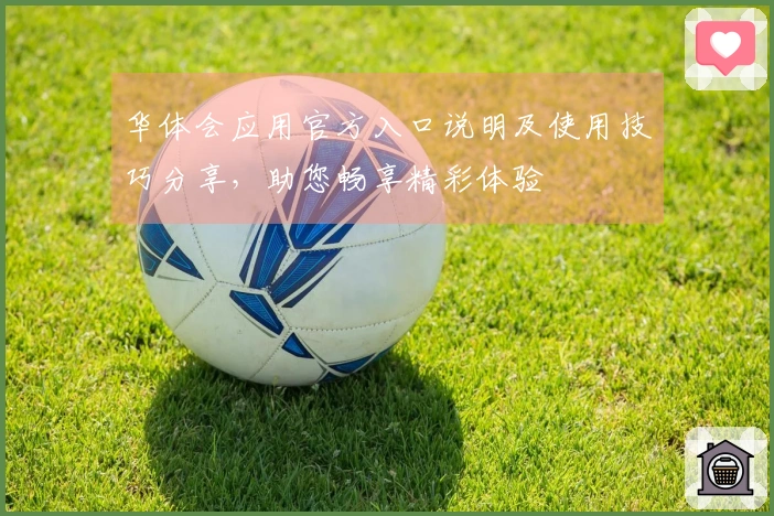 华体会应用官方入口说明及使用技巧分享，助您畅享精彩体验